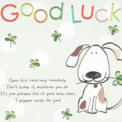 Good Luck Vibes Good Luck CardF