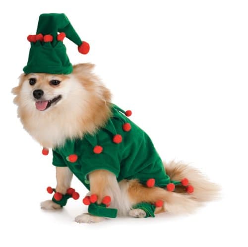 Santa's Elf Dog Christmas Costume Size Medium