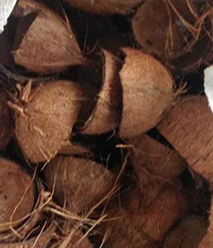 Umf Natural Coconut Shell 4 Kg