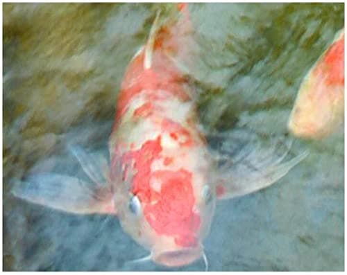 Wall Mural Wallpaper 144 x 100 inch (Width x Height) Custom Photo 3D Flooring Bedroom Waterproof PVC Floor Sticker Waterfall Stream carp Decoration Painting 3D Wall murals Wallpaper