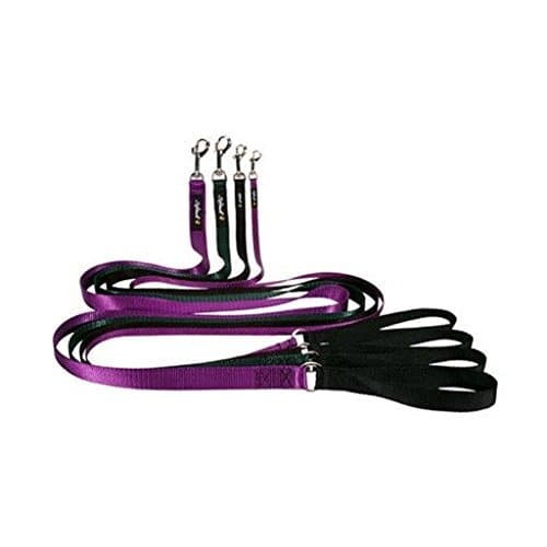 SENSE-ation Red Sof Loop Nylon Dog Leash