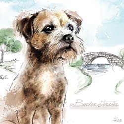 Illustrated Border Terrier - Blank Greetings Card