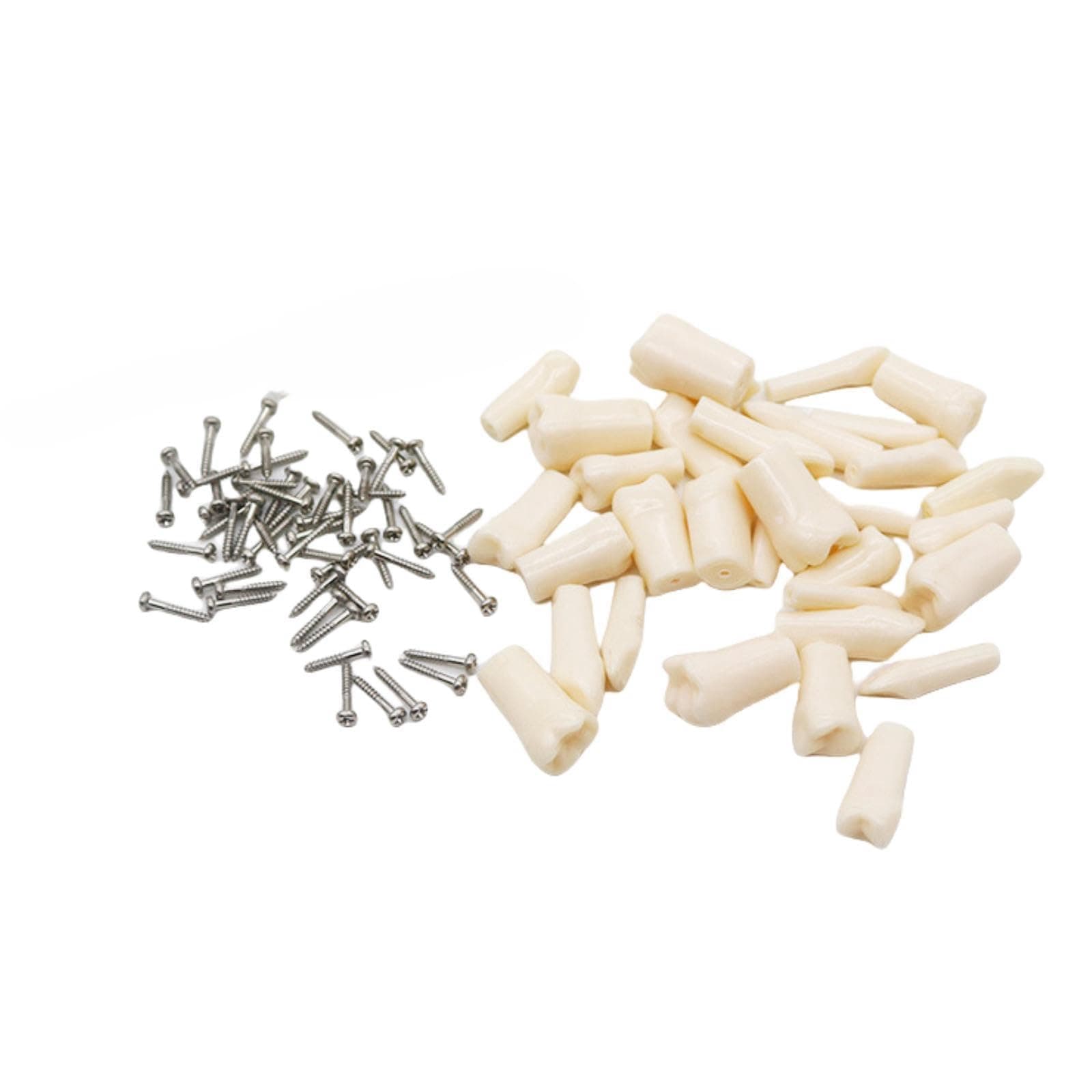 32pcs Removable Teeth Piece for Typodont Teeth Model Compatible with Kilgore Nissin for Teaching, Study