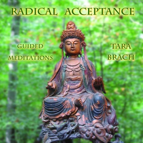 Radical Acceptance: Guided Meditations Audio CD – December 1, 2007