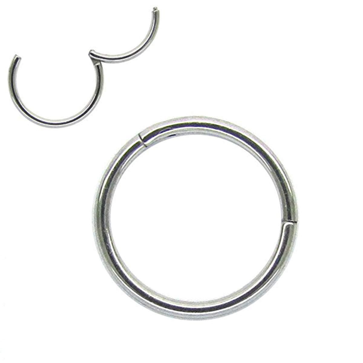1Pair 16G 18G Hinged Clicker Segment Septum Lip Nose Hoop Rings Helix Daith Cartilage Tragus Body Piercing jewelry