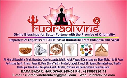 Rudra Divine Laxmi Devi Brass Statue, Hindu Religious Goddess Devi Idol, Indian Deity Handmade Sculpture