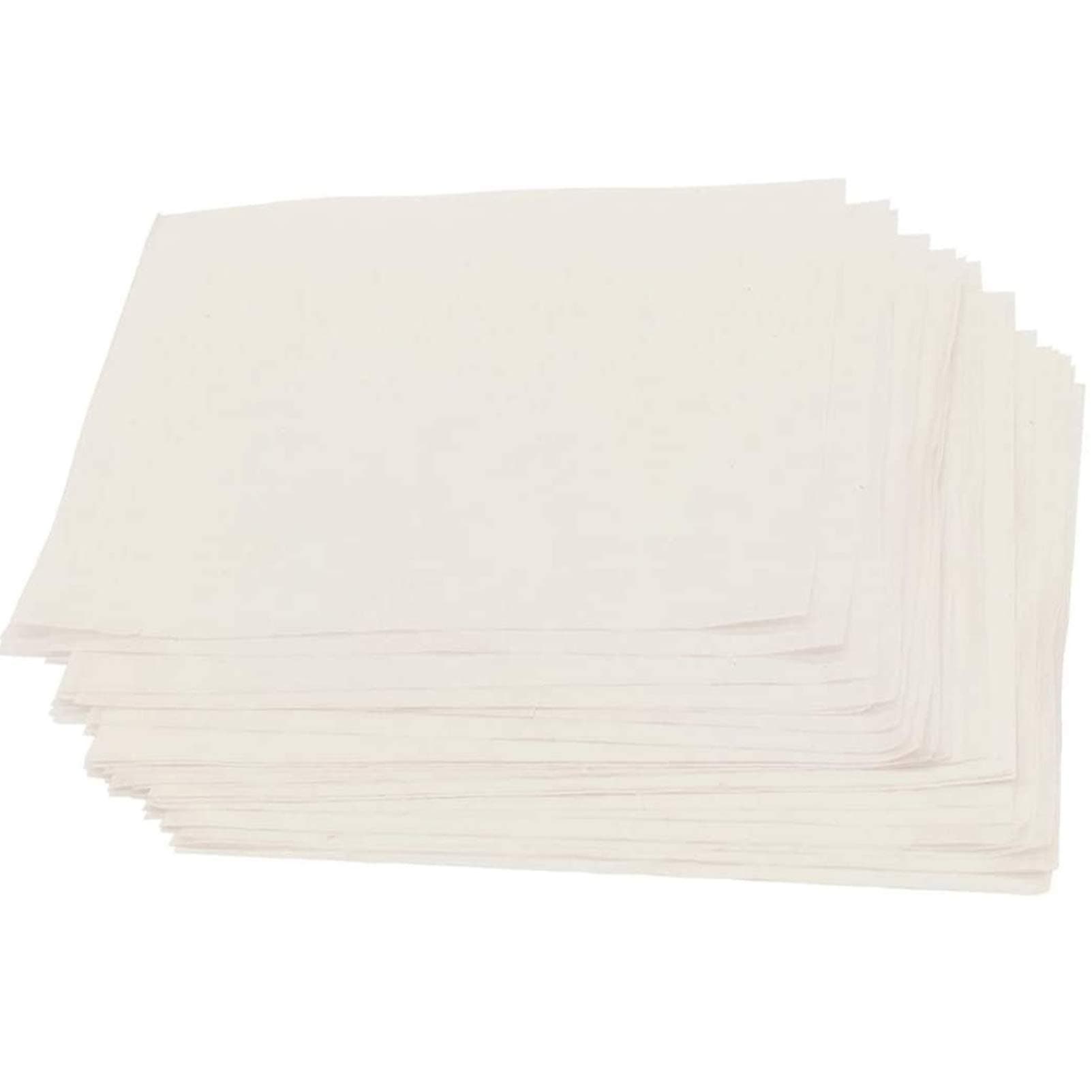 Flower Press Refill Paper Replacement Blotters Paper Refill Lining Paper Blotter Paper Refill (120pcs 8x6 inch)