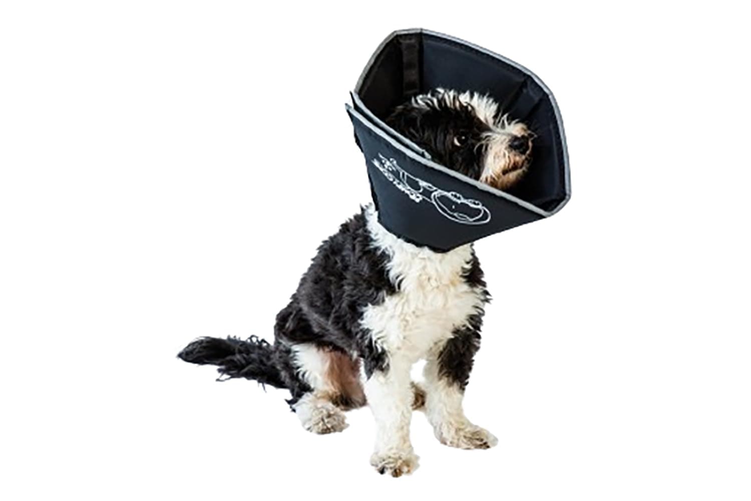 James and Steel Comfy Cone, Extra Large, 30cm
