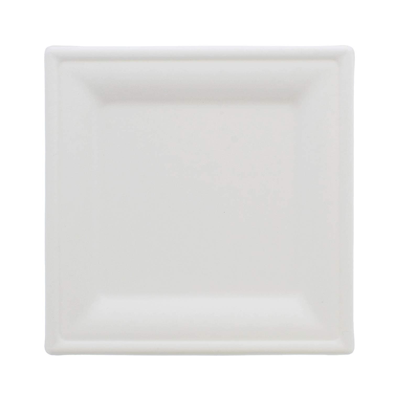 Bagasse Plates Compostable Plates White Paper Plates 100-Pack