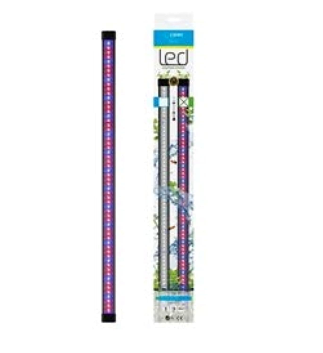 Ciano CLA 60/80 LED Light Unit - Fits Aqua 60 & 80 Aquariums (PINK/BLUE)