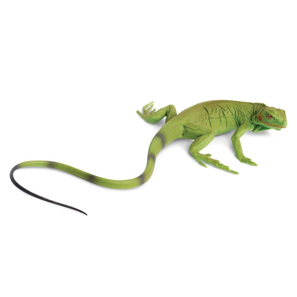 Toob Green Iguana Baby, Multi