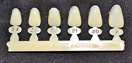 #7 Upper Right Lateral tooth - Dental Polycarbonate Temporary Crowns 6 sizes