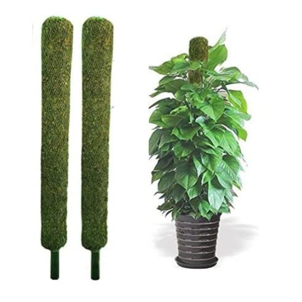 BHAJANLAL GREENERY2.4 FT Moss & Coir Stick | Set of 2 | for Money Plant Support, Indoor Plants, House Plants & Plant Creepers