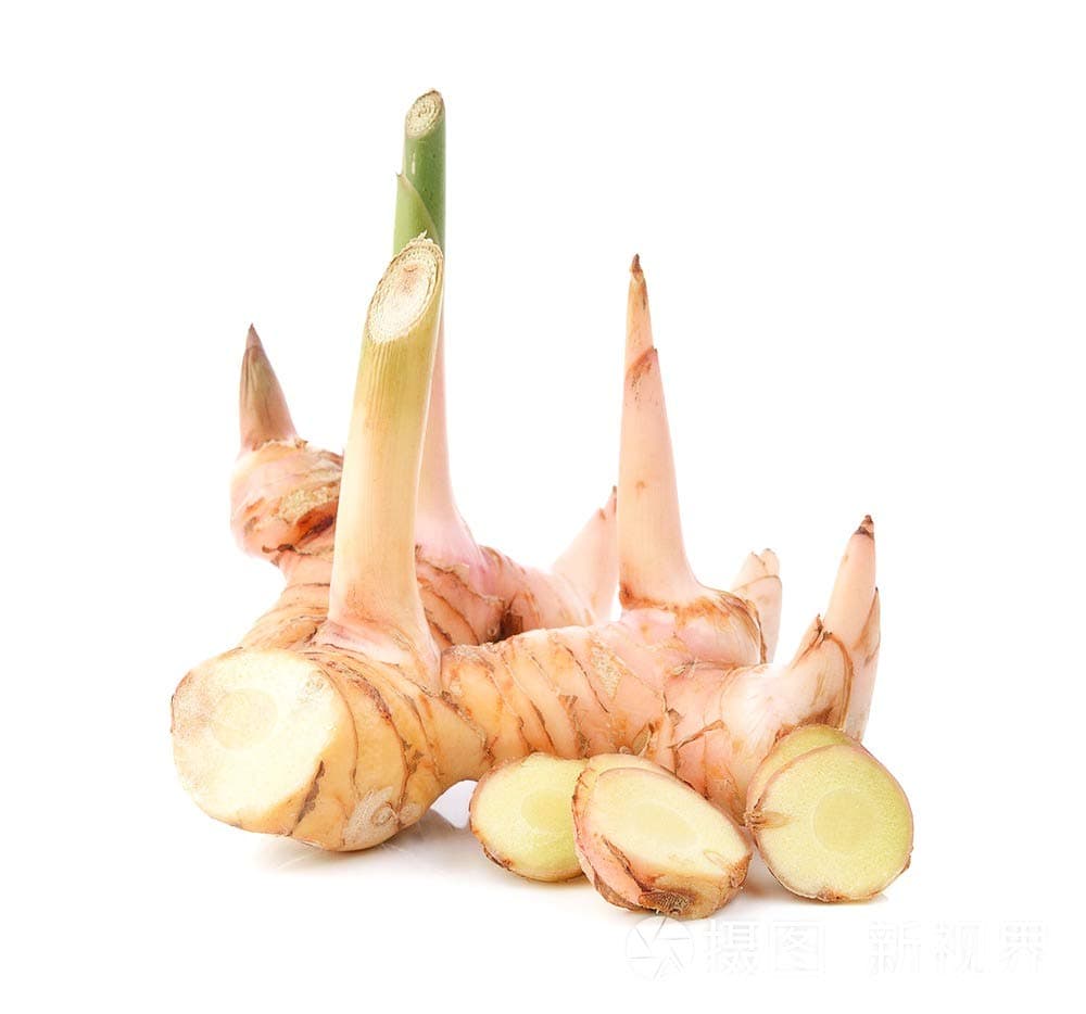 Kejora Fresh Galangal 8 oz