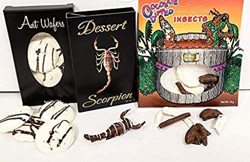 Edible Chocolate Bug Bundle - Pack of 3 - Scorpion, Ants, Worms & Crickets - With Licensed Sticker