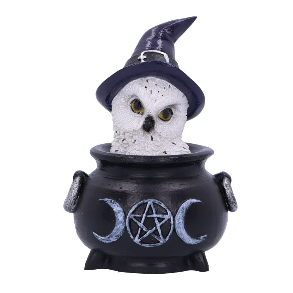 Nemesis Now Owl's Brew 10cm, Black