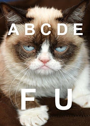 Grumpy Cat ABCDEFU Cute Funny Refrigerator Magnets Gift Decorative Kitchen Home Locker #C13