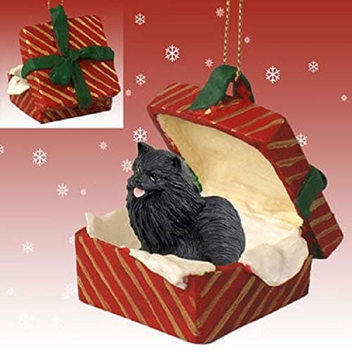 Conversation ConceptsPomeranian Black Gift Box Red Ornament