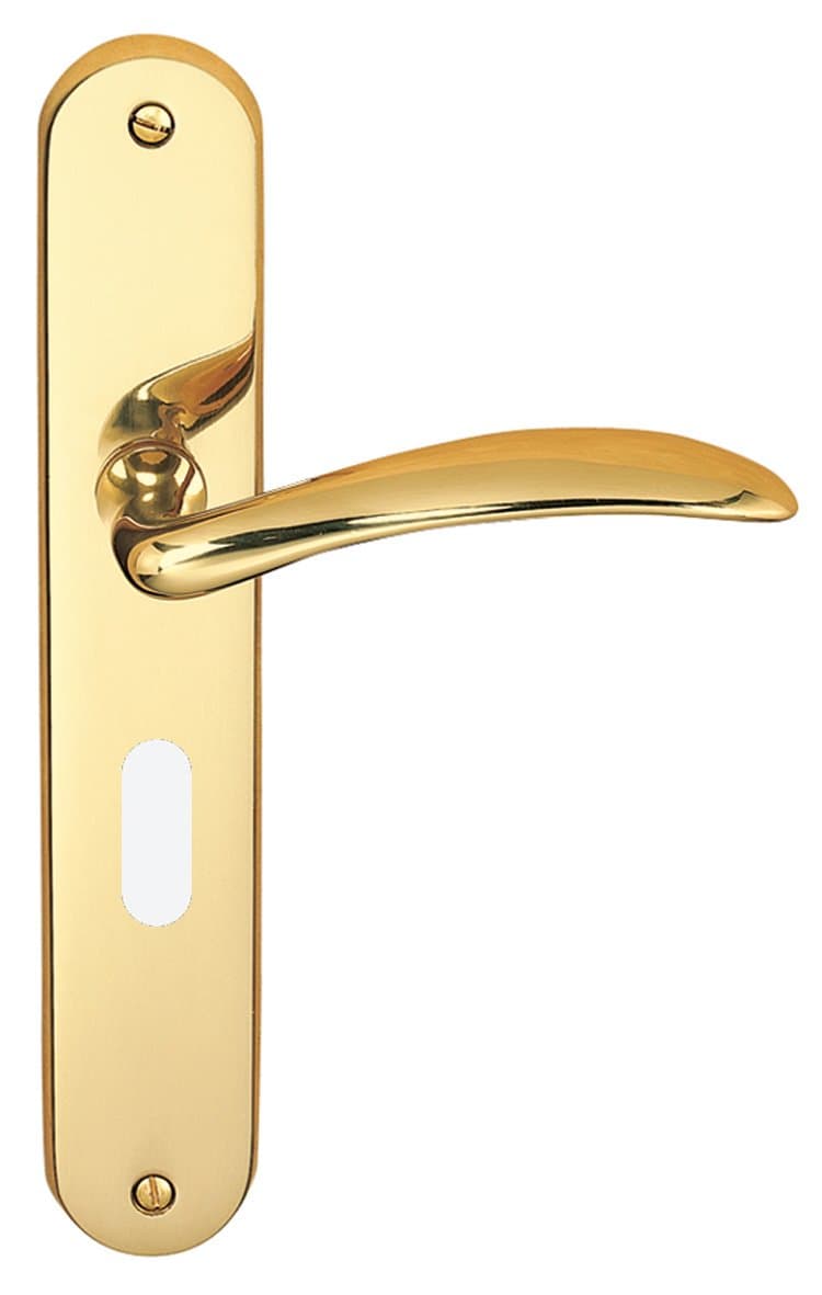 Geode 001361/1B Door Handle Polished Brass