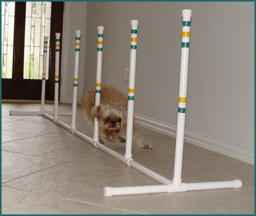 6 w/Base for Small Dog - Agility Equipment