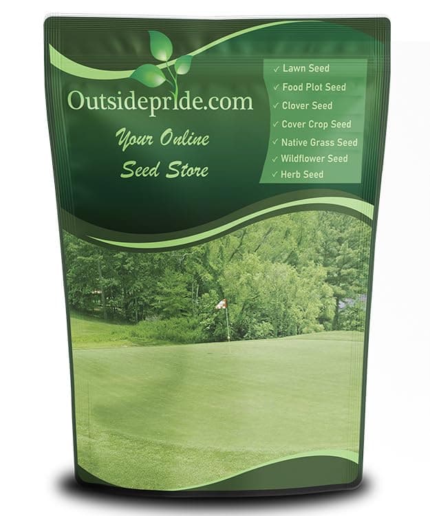 Yukon Bermuda Grass Seed