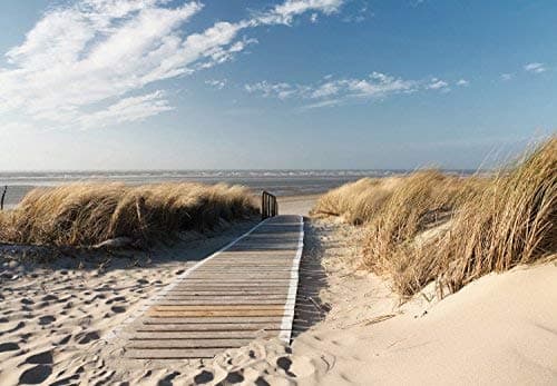 murimagePhoto Wallpaper Beach 366 x 254 cm Including Paste Wall Mural 3D Sea Dunes Ocean Path Way Sand Sky Maritime Nature