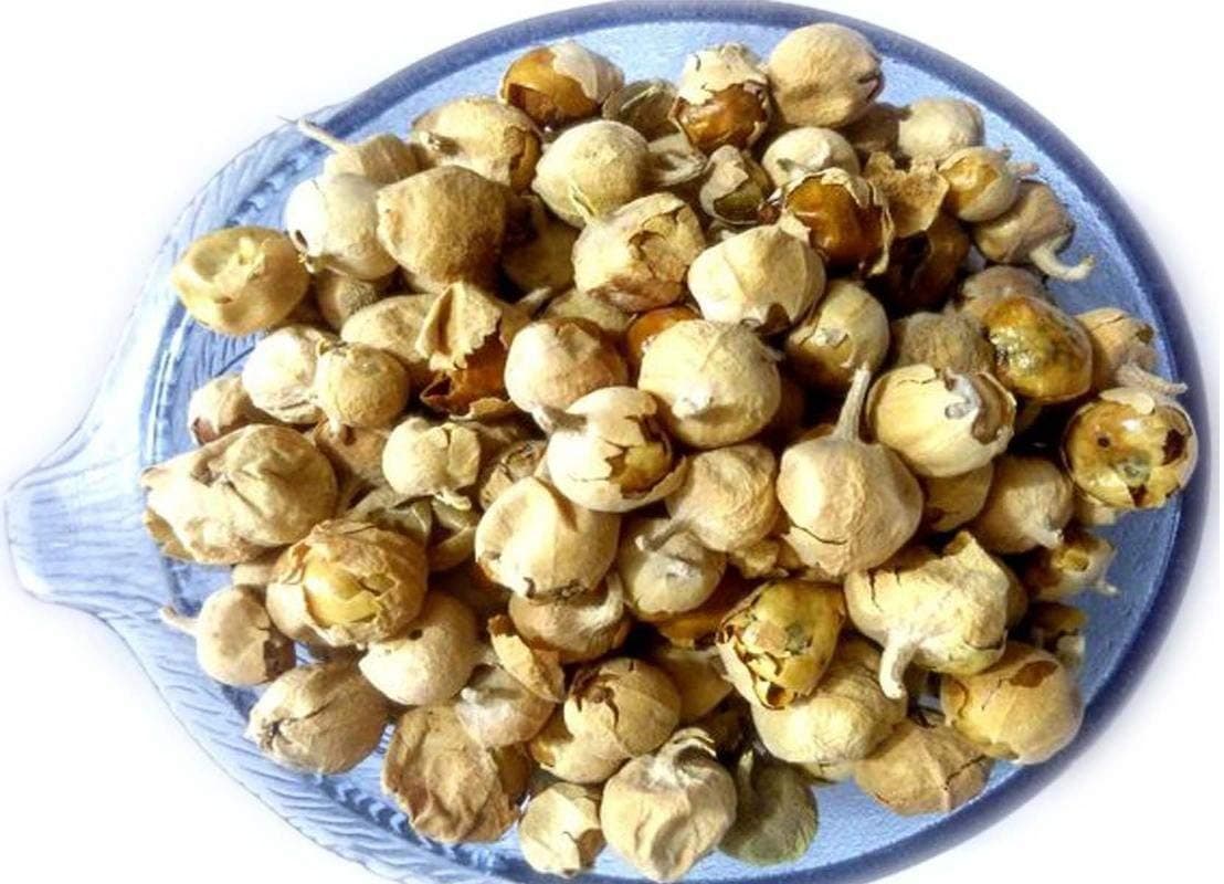 Paneer Dodi Doda Phool Indian Rennet (250 GRAM)