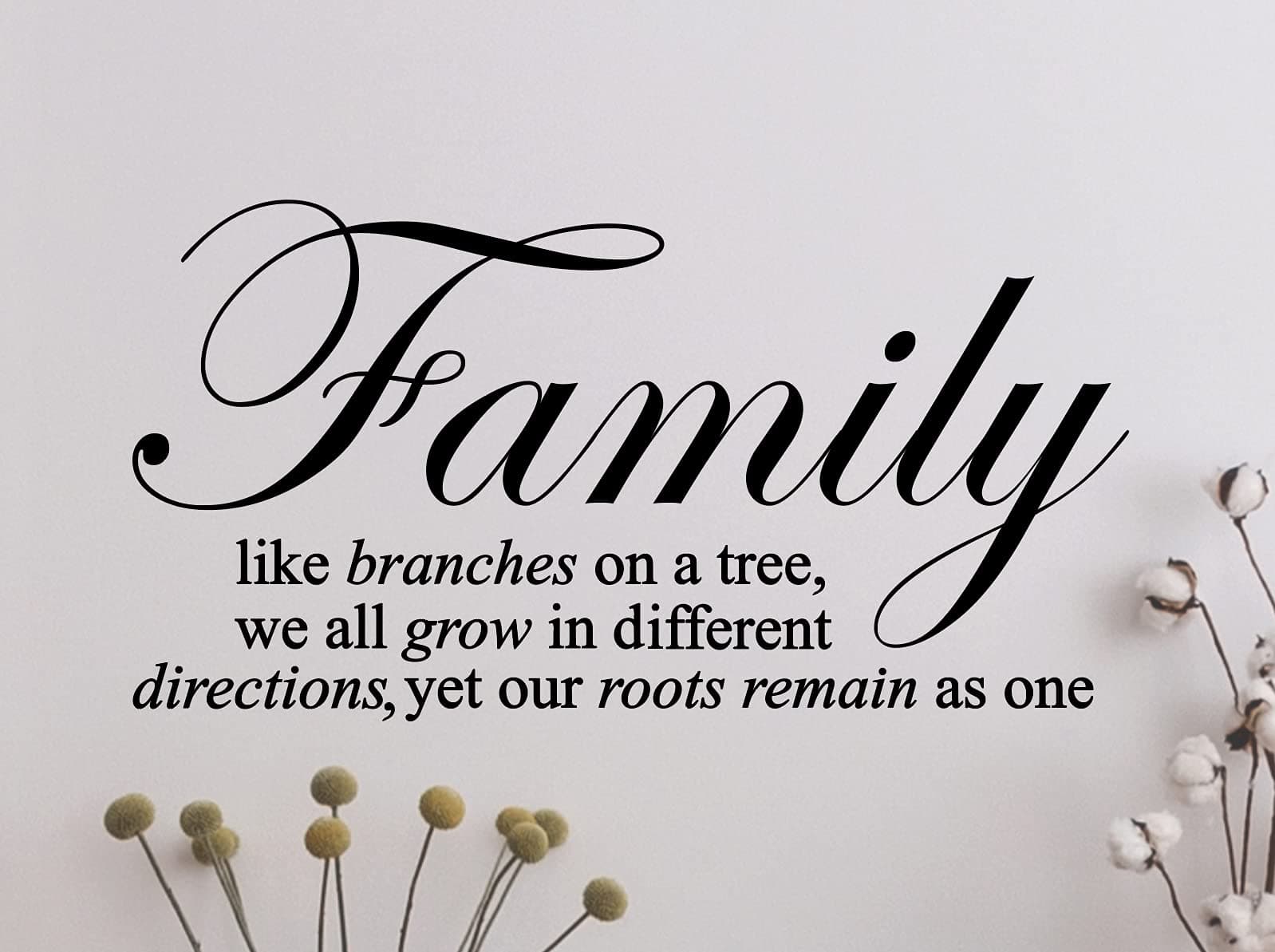 Innovative Stencils Family Like Branches on a Tree... Wall Decal Sticker Quote (24" Wide X 12" High) 1134 Matte Black