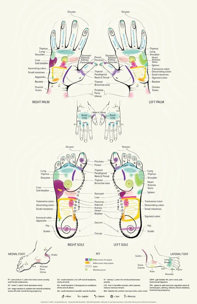 Reflexology Chart- Feet, Hands, plus accupressure points 11x17