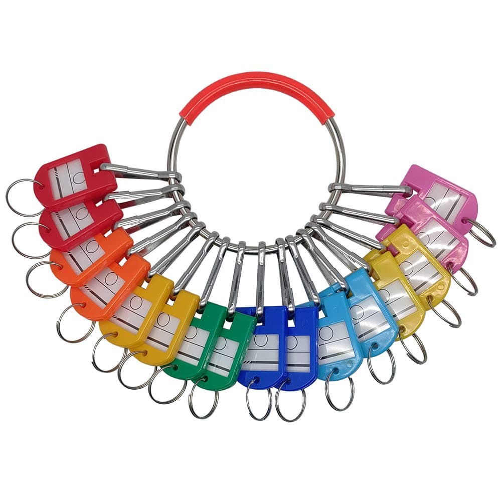 Portable Metal Ring Key Organizer with 16 Spring Hooks & Key Tags with Ring and Label Window, Multicolored, L