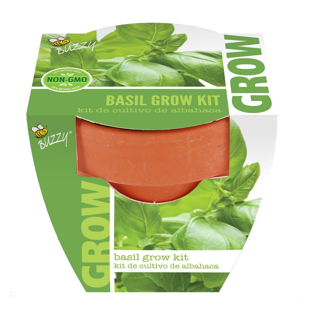 Buzzy 95517 Basil Grow Pot, Mini, Terra Cotta