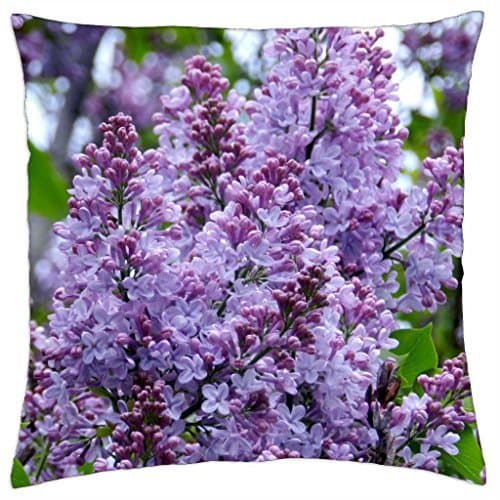 For Apple iPhone 4 4G 4S Collage Justin Bieber Cute Retro Vintage WHITE Sides Slim HARD Case Skin Cover Protector Accessory