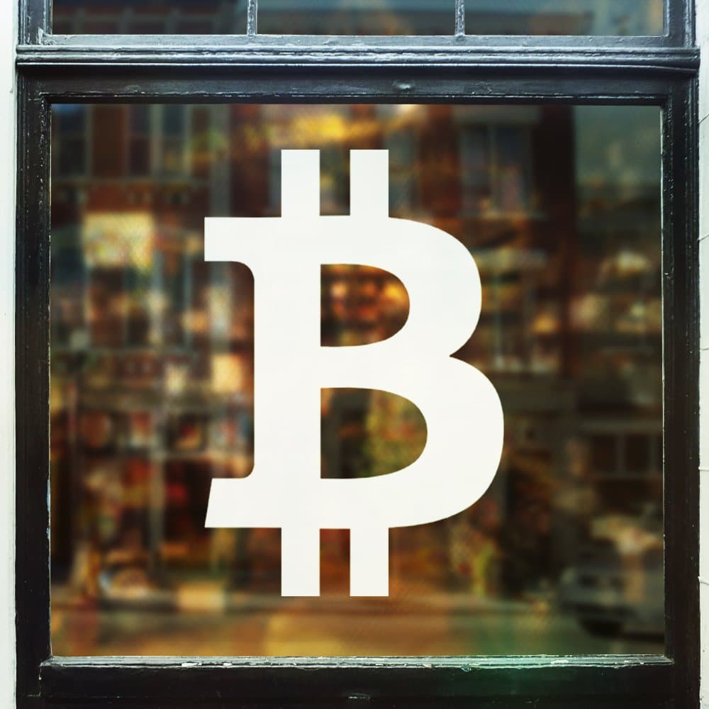 Vinyl Status Bitcoin Logo Decal Sticker (Small (3" x 4"))