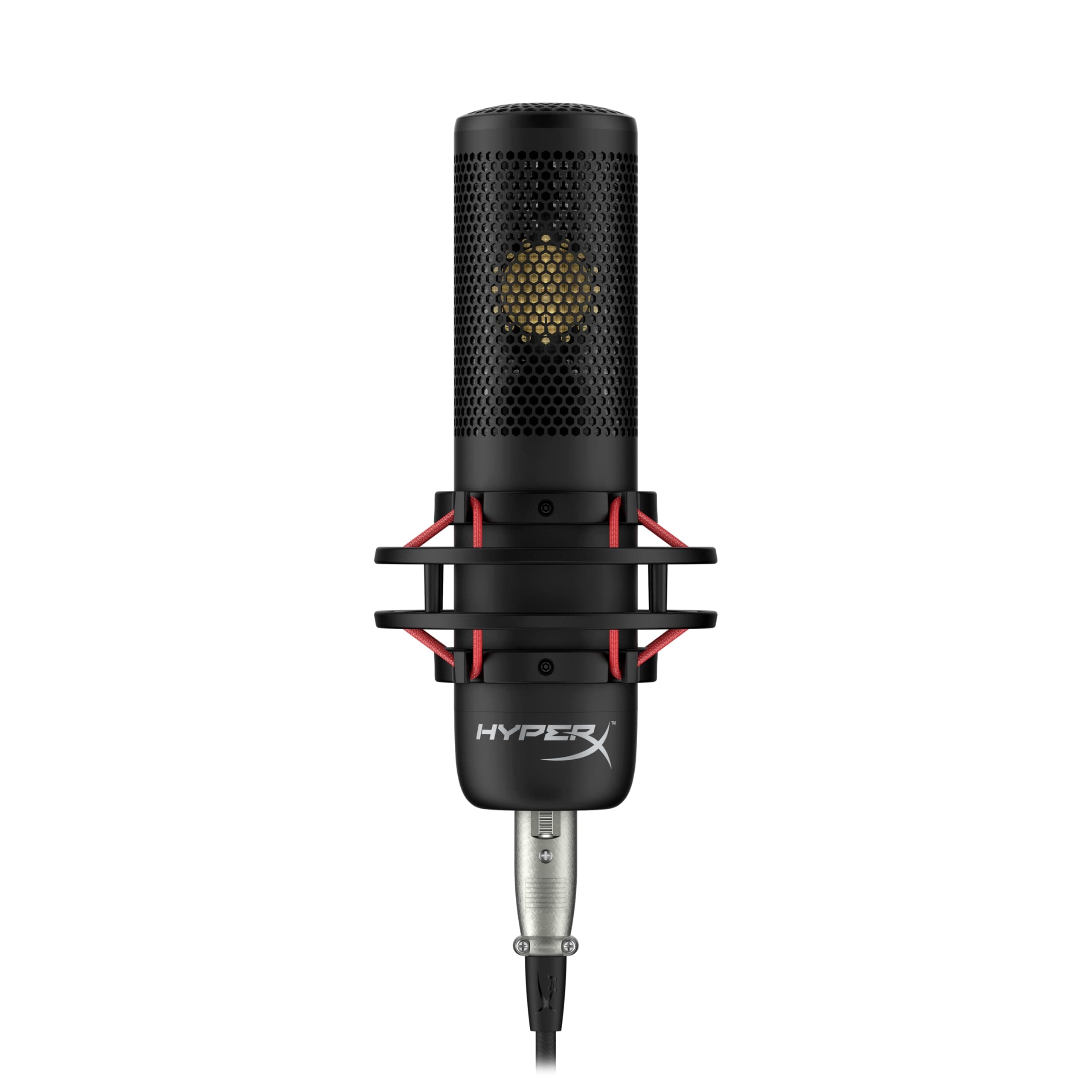 ProCast – Large Diaphragm Condenser Mic (699Z0AA)