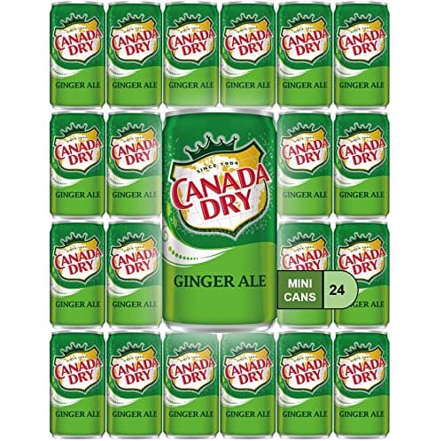 WEST END FOODS LANCASTER, PA WSNE Canada Dry Ginger Ale Mini Soda Cans, 7.5 oz Soft Drinks Bulk Snacks Pack, Small Refrigerator & Snack Pantry Drink 24 Count Beverage Kitchen Supplies
