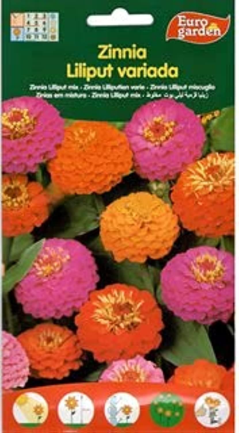 Zinnia Lilliput Mix