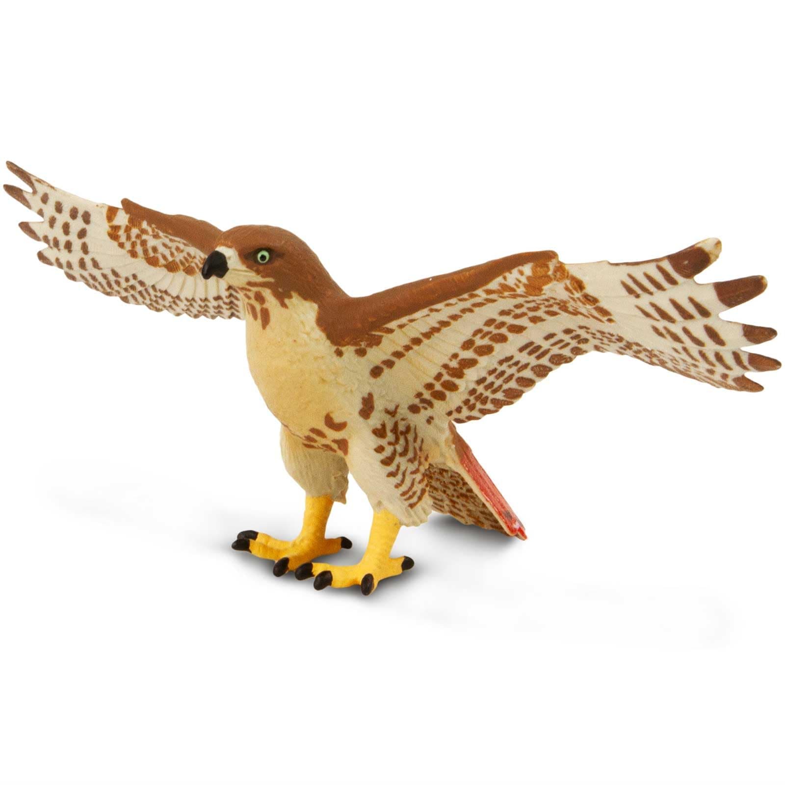 Safari Ltd. Red-Tailed Hawk Figurine - Detailed 5.75" Plastic Model Figure with Wingspan - Fun Educational Play Toy for Boys, Girls & Kids Ages 3+