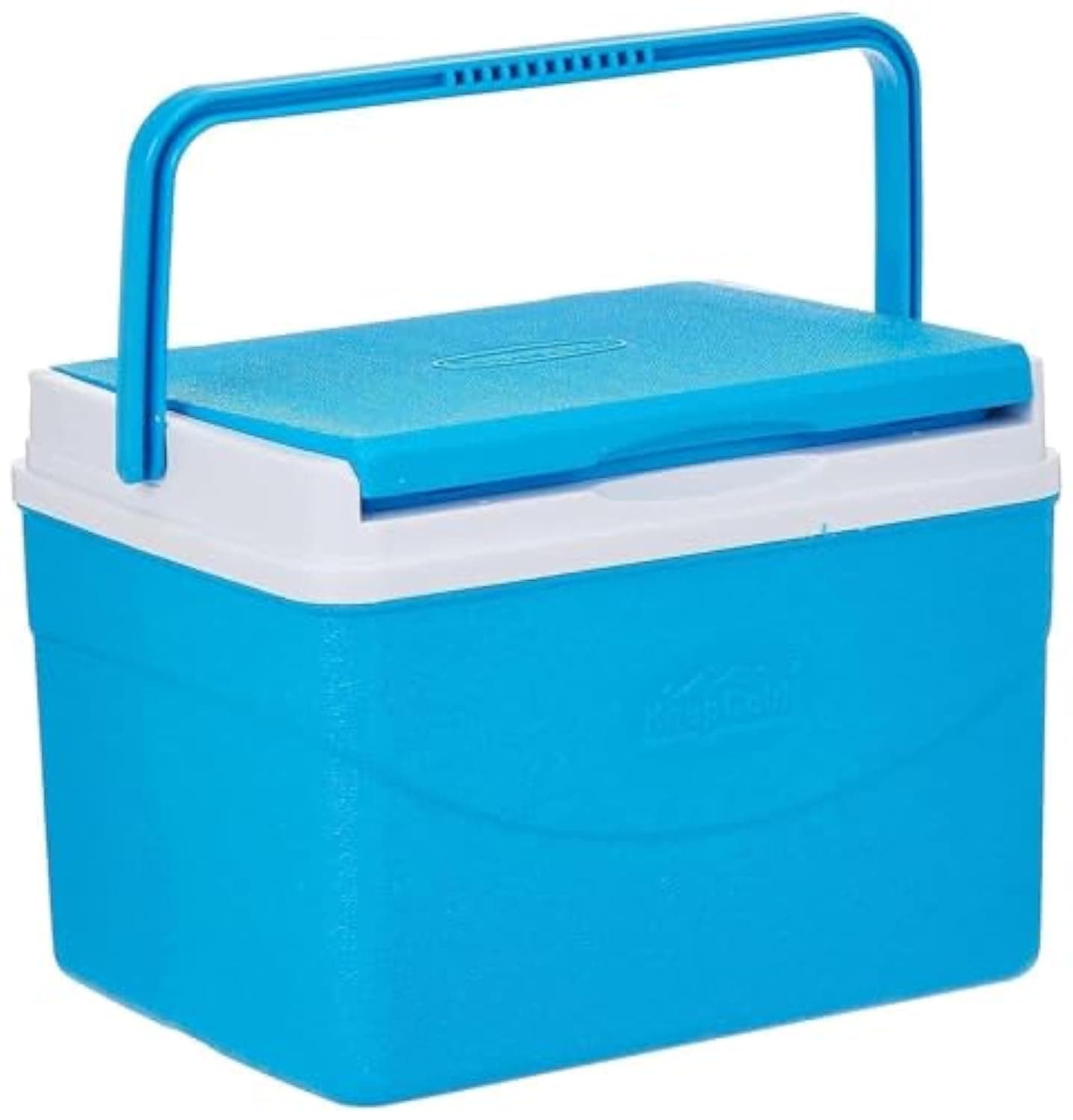 Keep Cold Plastic Picnic Cooler Icebox Lunchbox