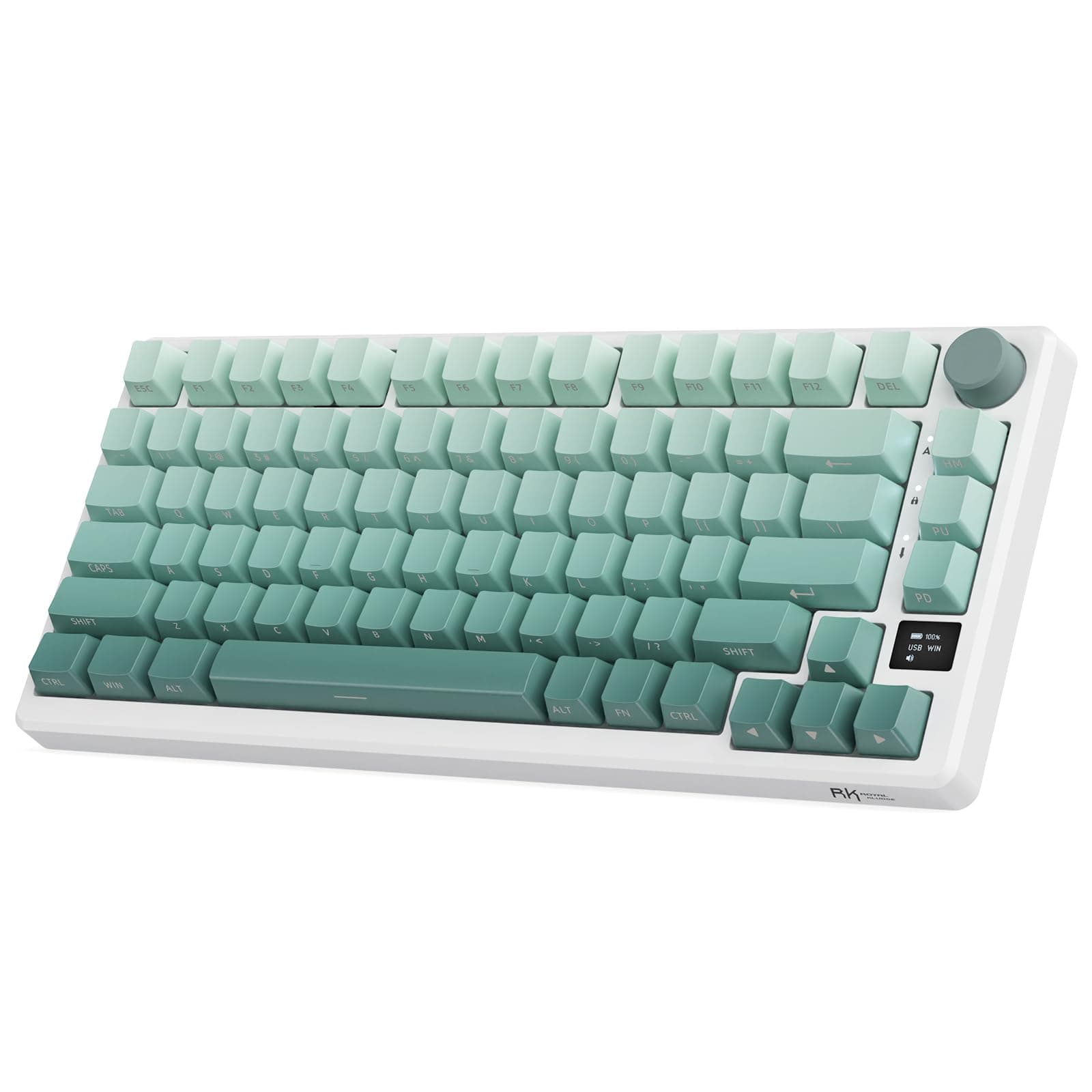 RK ROYAL KLUDGE M75 Wireless Mechanical Keyboard with OLED Display & Knob 2.4GHz/BT5.1/Wired Gaming Keyboard 75% Gasket Mounted 81-Key Side Printed PBT Keycap, RGB Backlit Hot Swappable Cloud Switch