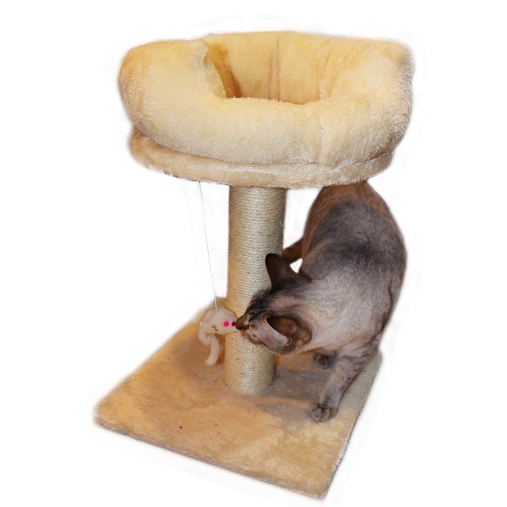 Gsisee Cat Scratching Post with Hanging Toy& Plush Base, Cat Bed, Natural Sisal Rope healthy for cats. (Beige)