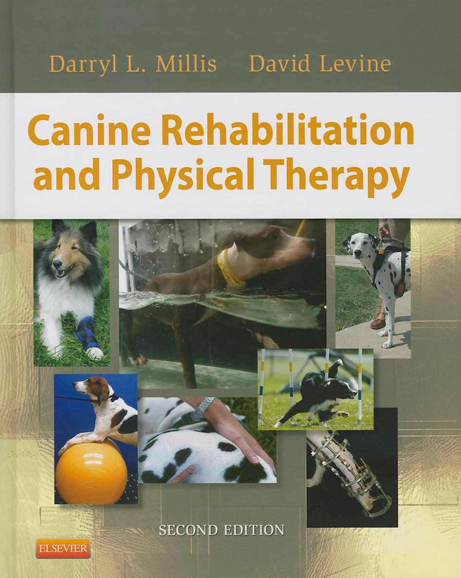 Canine Rehabilitation and Physical Therapy