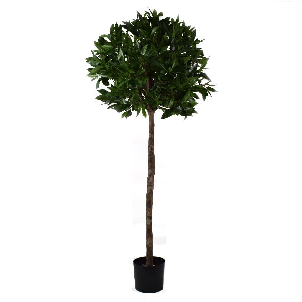 4ft Premium Quality Artificial Bay Tree with real Wooden Trunk - Artificial Tree