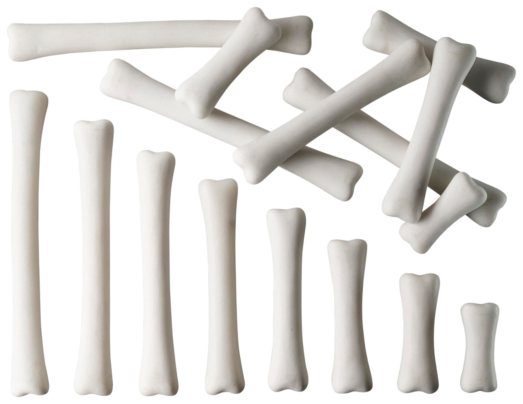 Yellow Door Dinosaur Bones Match & Measure Set, Multi