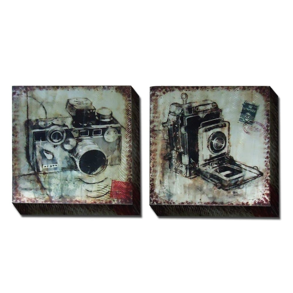 Turtle King Vintage Camera Canvas Wall Art, 2 Piece