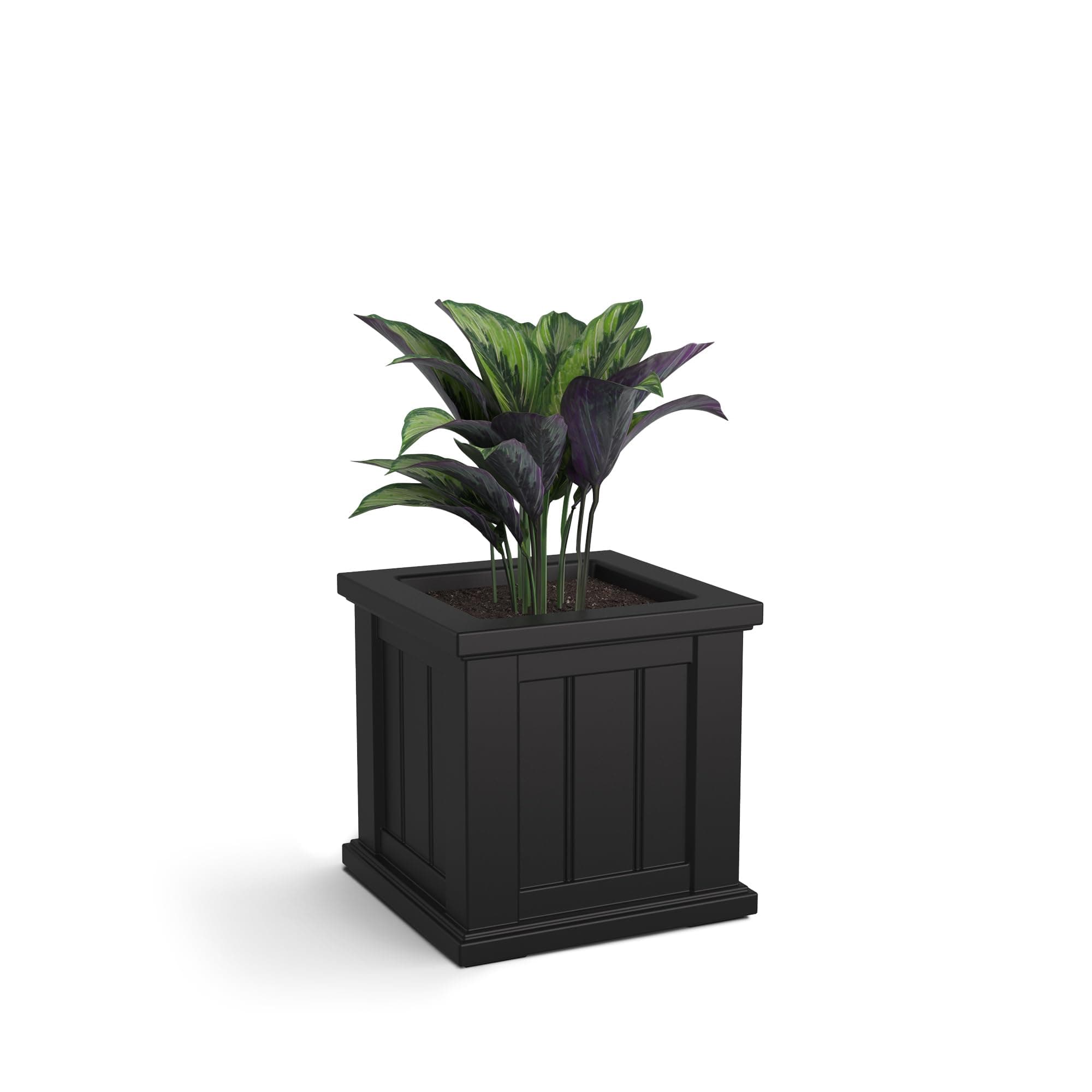 Cape Cod 14-Inch Square Planter – Self-Watering, Weather-Resistant Planter for Flowers – Durable Outdoor Design for Patio, Porch, or Entryway