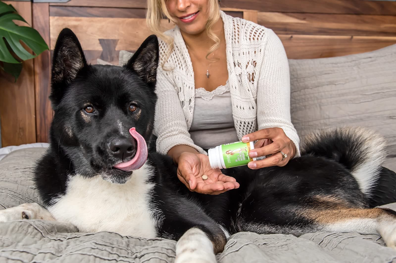 Dr. Judy's Wellness Formula