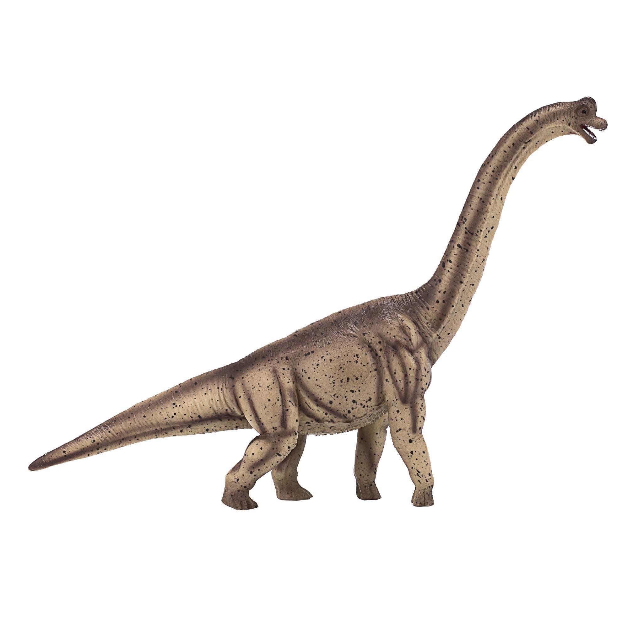 Deluxe Brachiosaurus Prehistoric Dinosaur ModelToy Figure
