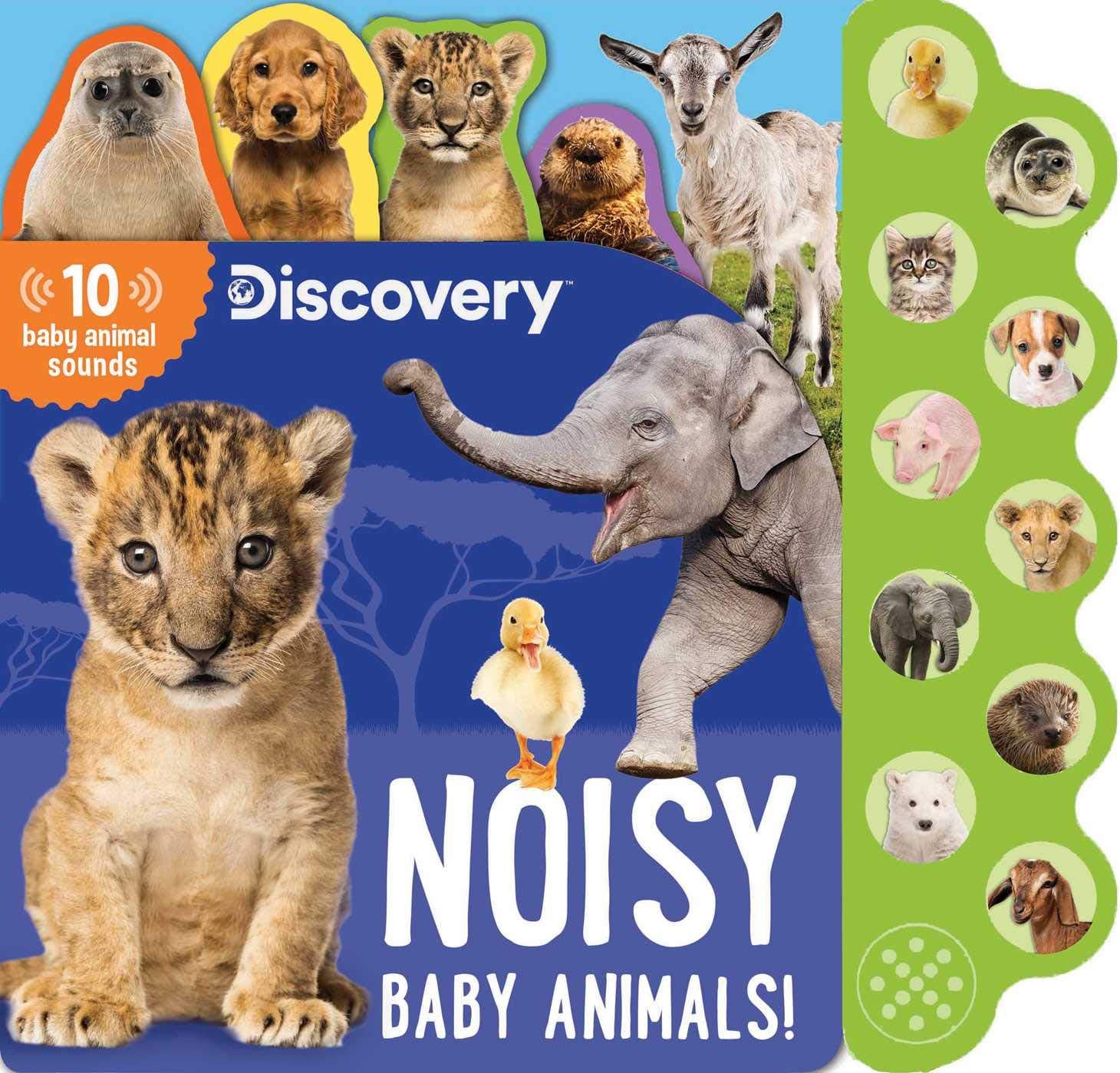 DISCOVERY: NOISY BABY ANIMALS!