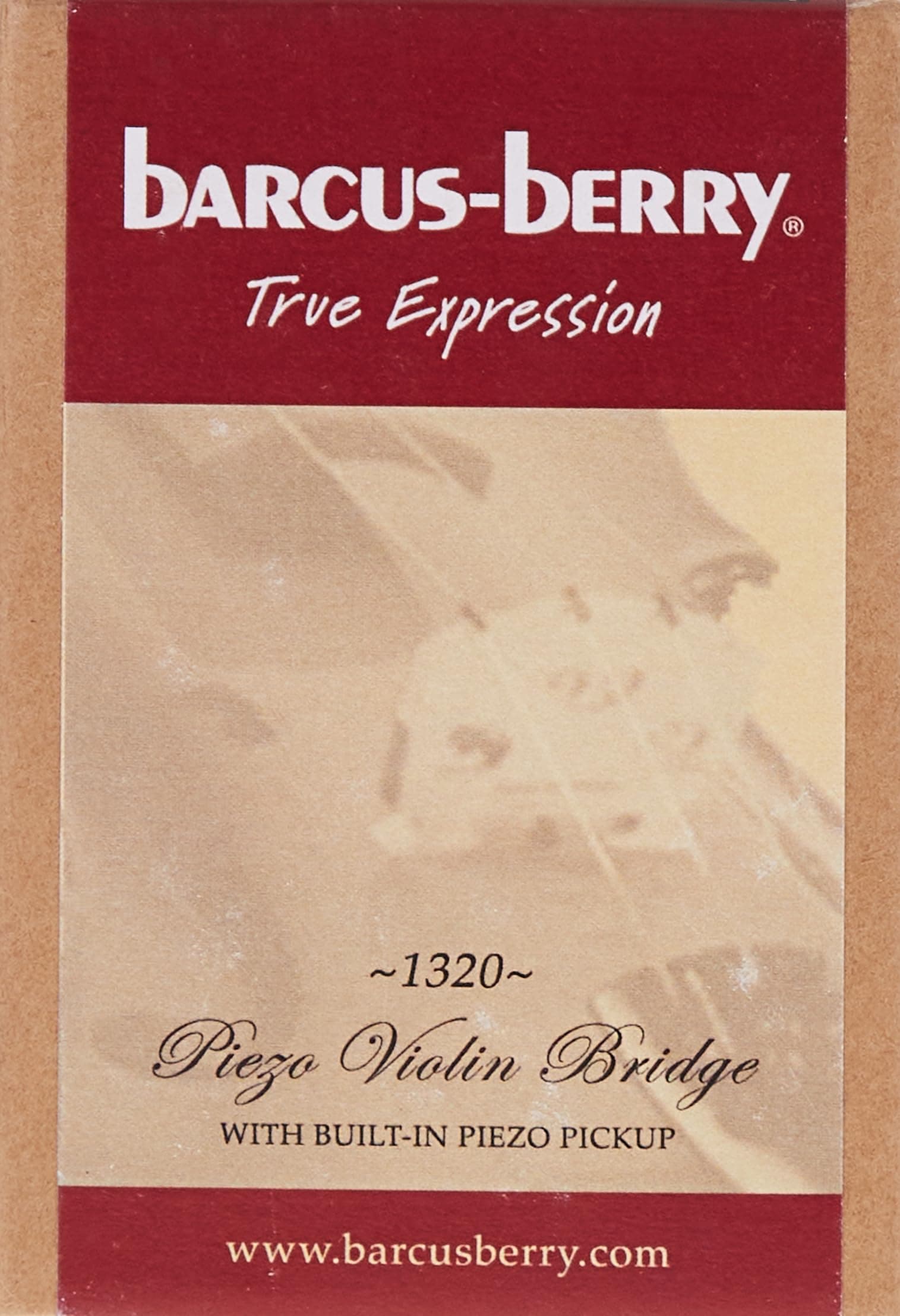 Barcus Berry, 1-string electric violin, (1320), Medium