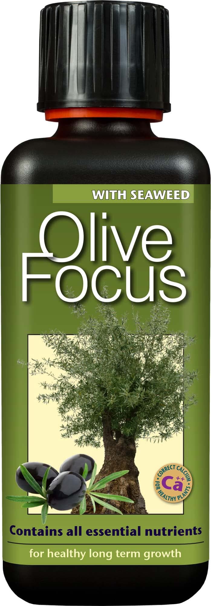 Olive Focus Liquid Fertiliser with Seaweed Concentrated 300ml – Feed for Olive Trees in Pots, Conservatories & Greenhouses – Promotes Long-Term Fertility, Root Health, and Fruit Development